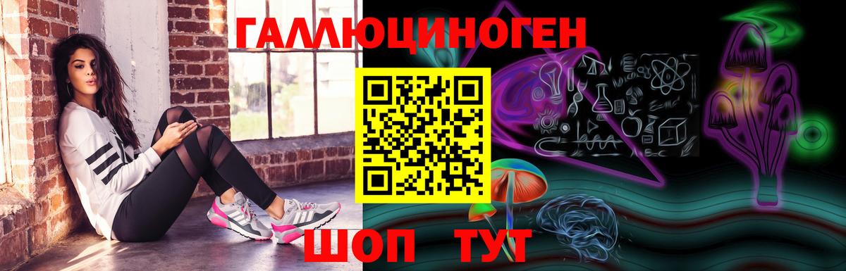 Аша  Псилоцибиновые грибы MAGIC MUSHROOMS  Вход с VPN 